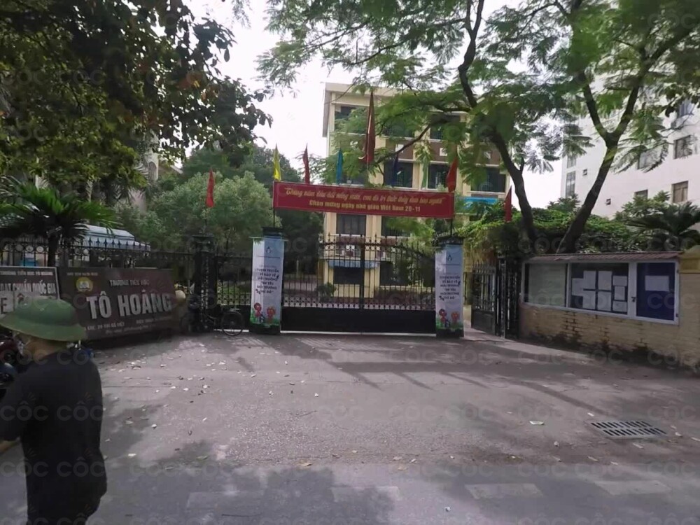 Tô Hoàng - Tiểu học công lập quận Hai Bà Trưng, Hà Nội (Ảnh: Cốc Cốc)